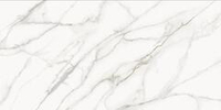 Staro Slab Calacatta Supreme Honed 160x320