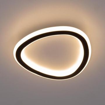 CL215B221 TRIO Черный Св-к Наст.-Потолочный