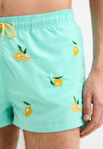 Мужские пляжные шорты