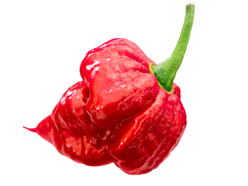 Каролина Рипер (Carolina Reaper) в ассортименте