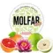 Molfar Virginia Line - Лотос (100г)