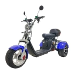 Электроскутер CITYCOCO X7 Pro TRIKE Синий