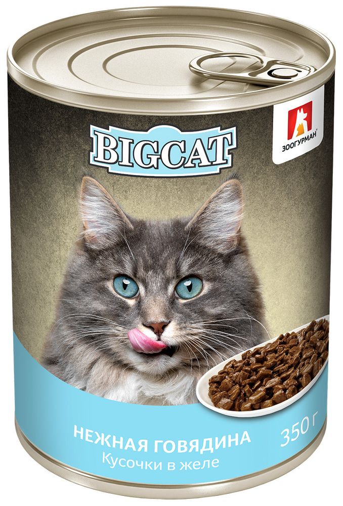 Зоогурман BIG CAT влажный корм для кошек говядина кусочки в желе 350 г