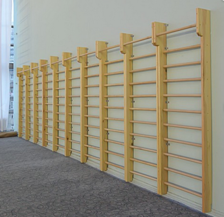 Стенка гимнастическая с выносом 2400х800