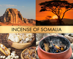 Incence of Somalia (Благовония Сомали)