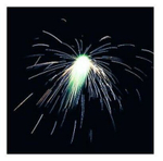 Летающий фейерверк Русский Фейерверк Лунный цветок Р3110, 1 залп, 6 шт., синий/желтый 11 см 6.9 см