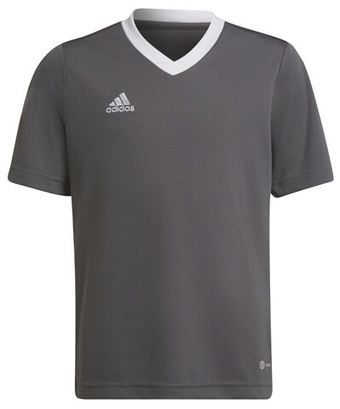 Футболка для мальчика теннисная Adidas Kids Entrada 22 Jersey - серый