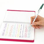 Ручки шариковые ЮНЛАНДИЯ "РАДУГА", НАБОР 10 цветов, длина письма 2000 м, узел 1 мм, линия письма 0,5 мм, 143497