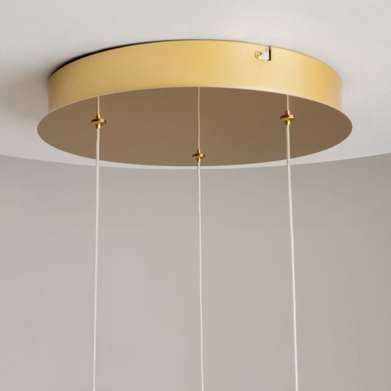 Подвесная светодиодная люстра Maytoni Foresight MOD347PL-L24BS3K