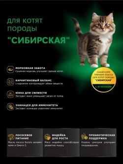 Корм для котят породы Сибирская, с ягненком, 2 кг