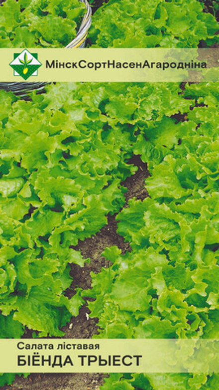 Салат листовой "Бионда Триест" 1г, Германия.