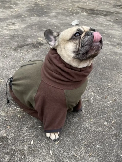 Комбинезон для собак одежда для французского бульдога