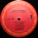 Chris Spheeris / Pathways To Surrender (LP)