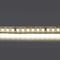 Светодиодная лента Lightstar 16W/m 168LED/m дневной белый 5M 420824