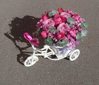 Роза Миритим в кашпо велосипед