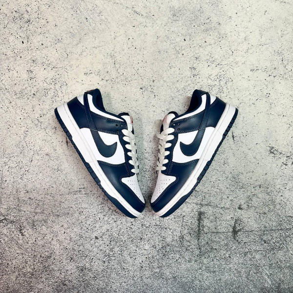 Кроссовки Nike Dunk Low Valerian blue