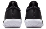 Кроссовки Nike Court Zoom Nxt Hc