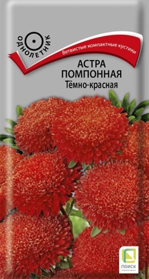 Астра помпонная Темно-красная 0,3гр Поиск