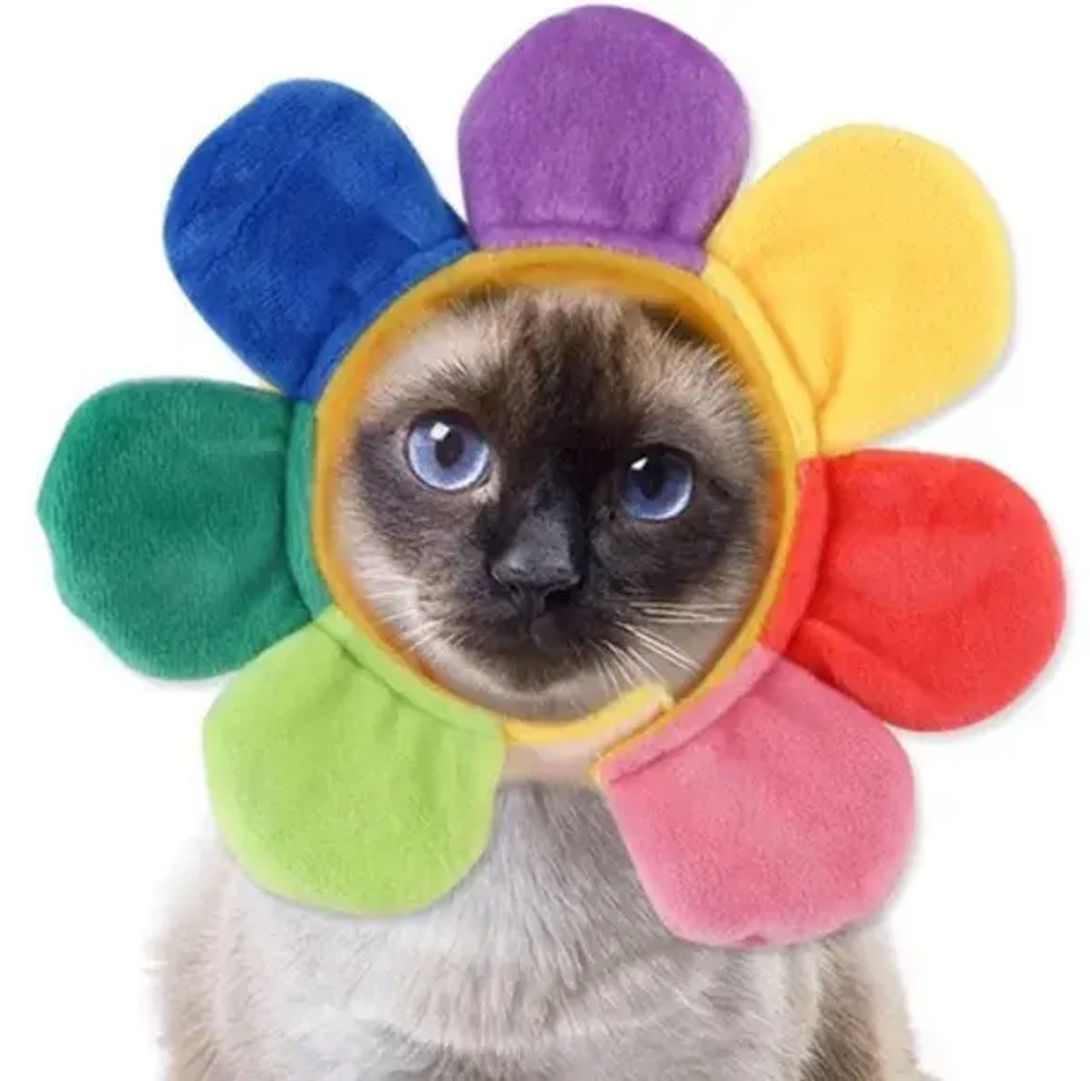 Шапка для собак и кошек «Ромашка», цвет как на фото, р ХL