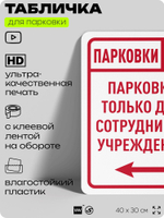 Табличка для парковки "Парковки нет, только для сотрудников учреждения №10", для дома, офиса, организаций, 40х30 см, Silver Plane x Айдентика Технолоджи