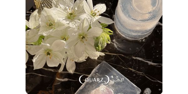 Без чего вы не сможете представить весну? Без чего вы не сможете представить весну?