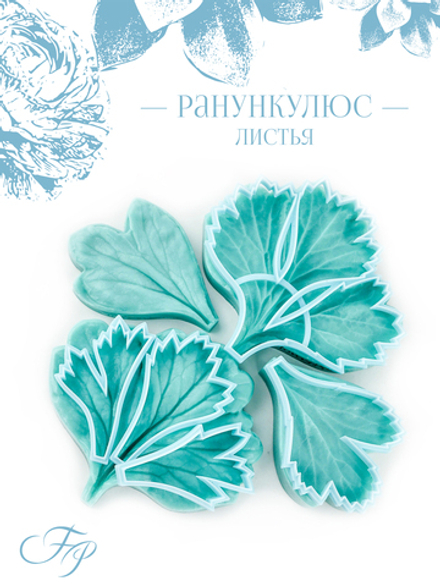Ранункулюс листья