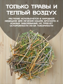 Багульник банная запарка.