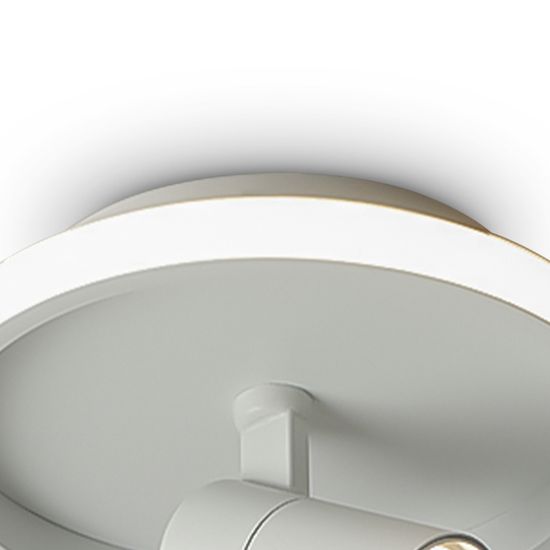 Потолочный светильник Freya FR6040CL-L14W