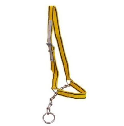 Хомут (недоуздок) для коров нейлон, цвет желтый и черный