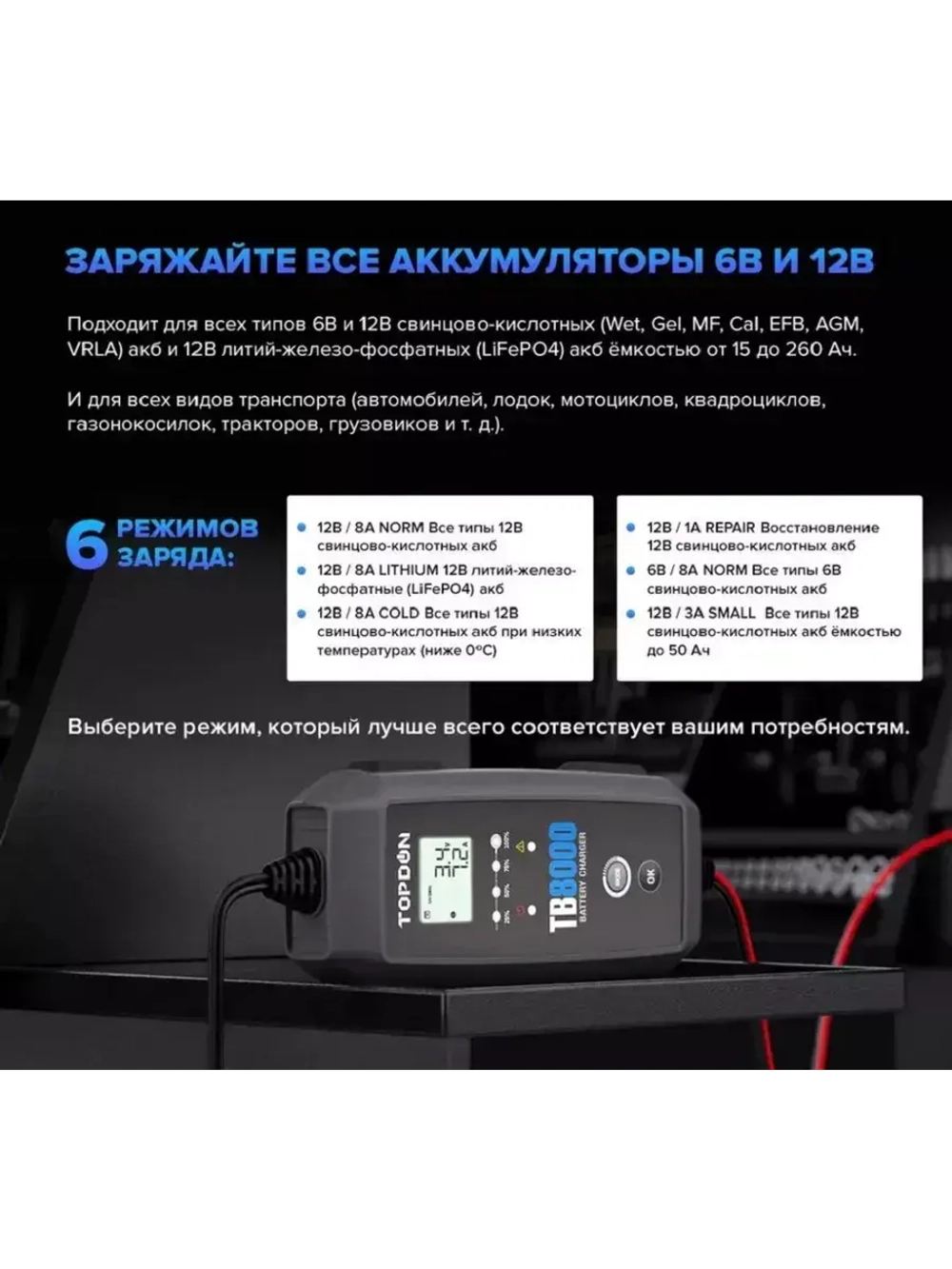Зарядное устройство TOPDON TB8000 (8A)