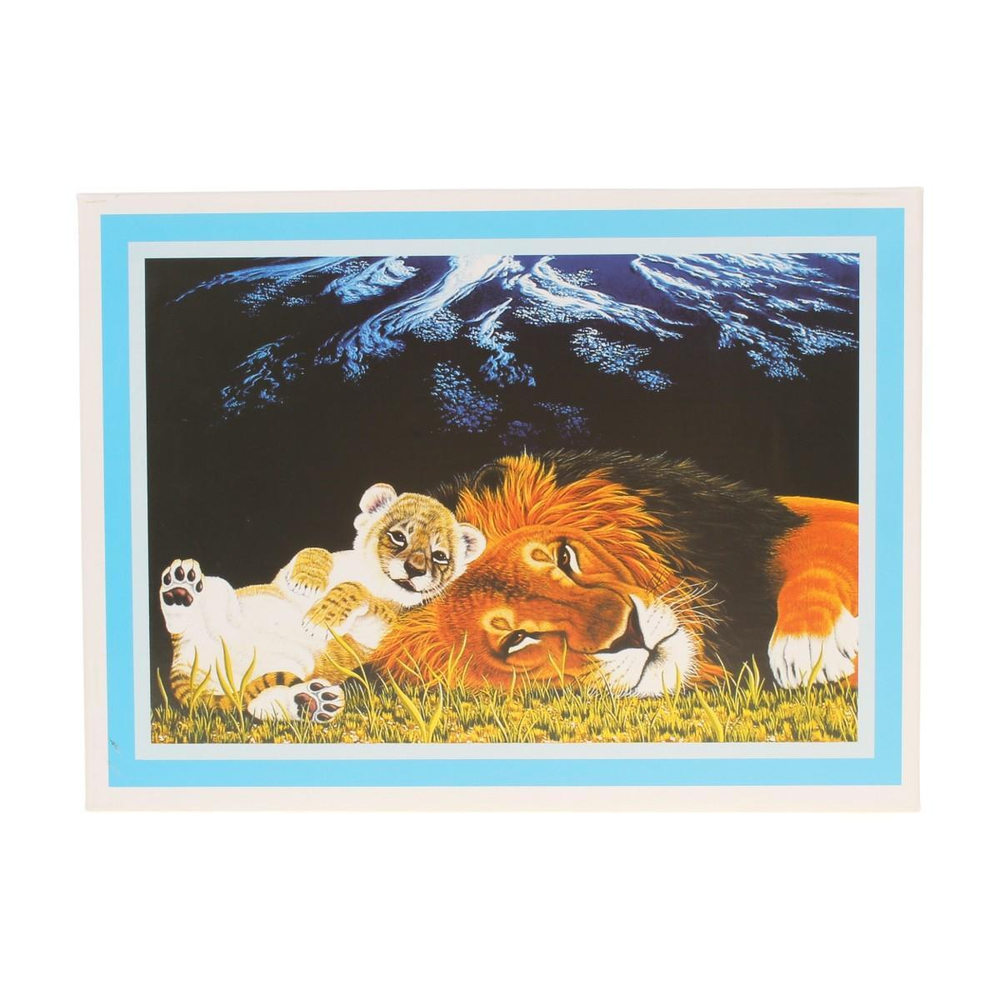 Пазл 500эл., коробка C-42124