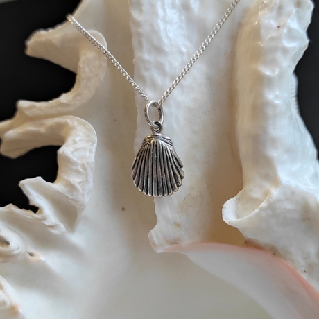 Подвеска РАКУШКА с цепочкой, серебро