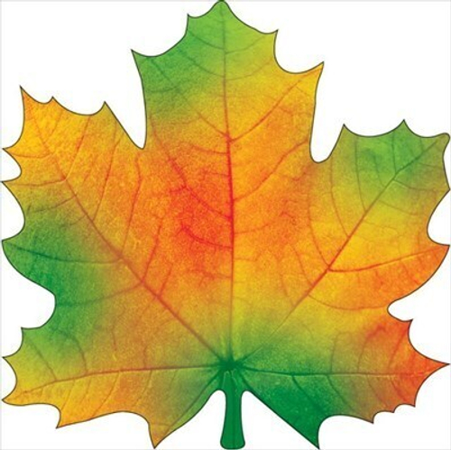 Украшение на скотче 88.616 Украшение на скотче "Кленовый лист" 46070