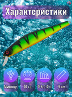 Воблер TsuYoki RIVAL SR 90SP 818