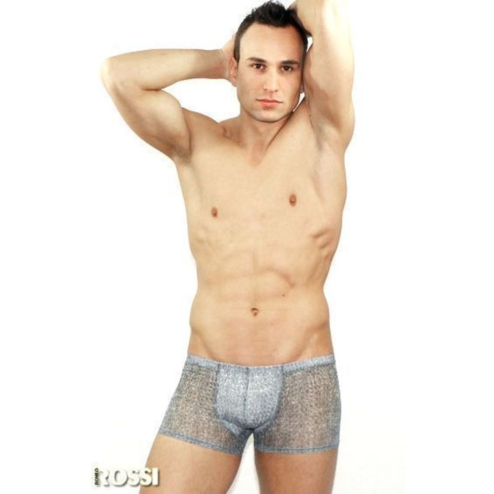 Мужские трусы боксеры прозрачны серые с рисунком змеиной чешуи Romeo Rossi Snake Grey Boxer 1RR00215