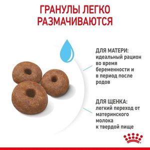 Сухой корм Royal Canin Giant Starter для щенков очень крупных размеров до 2 месяцев, беременных и кормящих сук