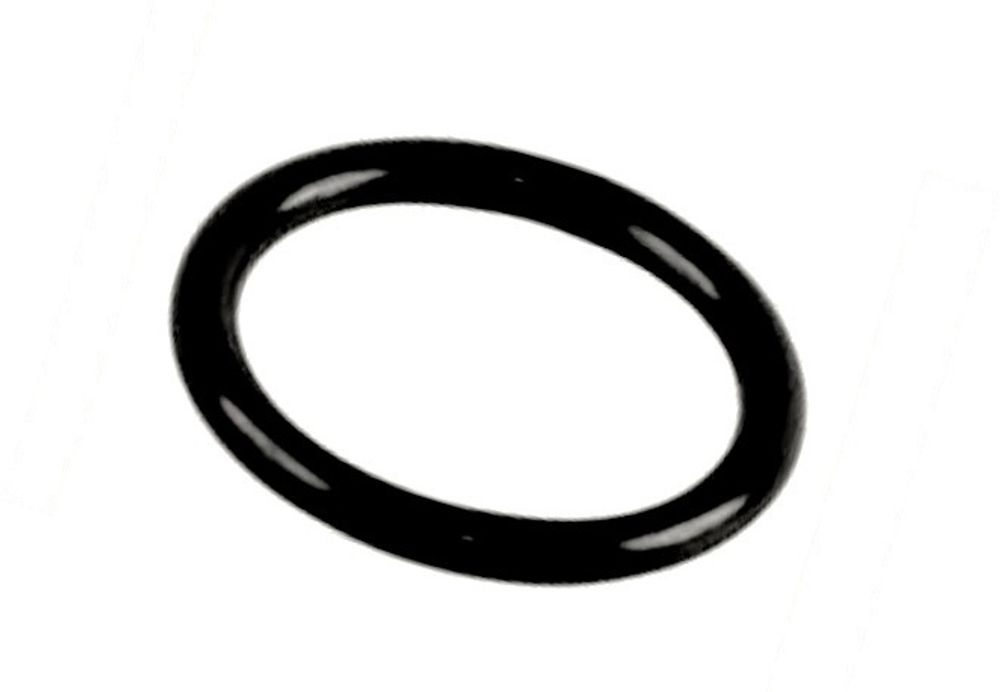 365P120050 Кольцо уплотнительное гусака ROBO горелки TBi