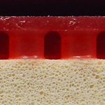 Butterfly Bryce High Speed