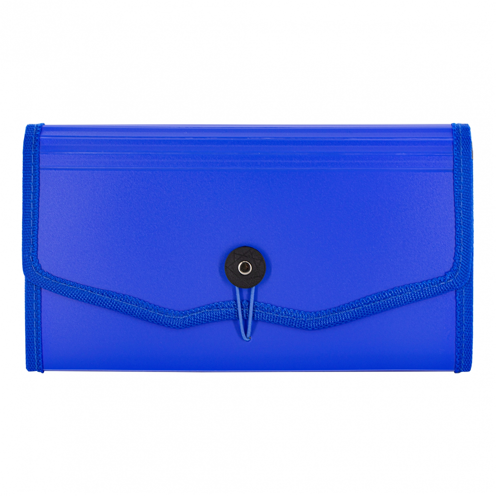 Папка-картотека Alingar, 260х140 мм, на пуговице, пластик, 900 мкм,12 отделений, синий