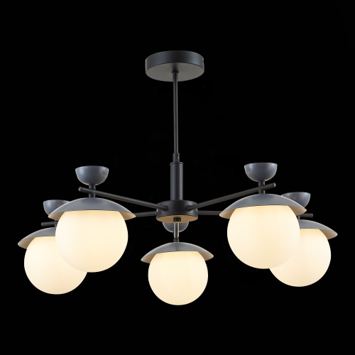 SLE220202-05 Светильник потолочный Черный, Серый/Белый G9 5*5W