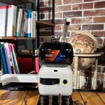 Шахматный робот «Chess»