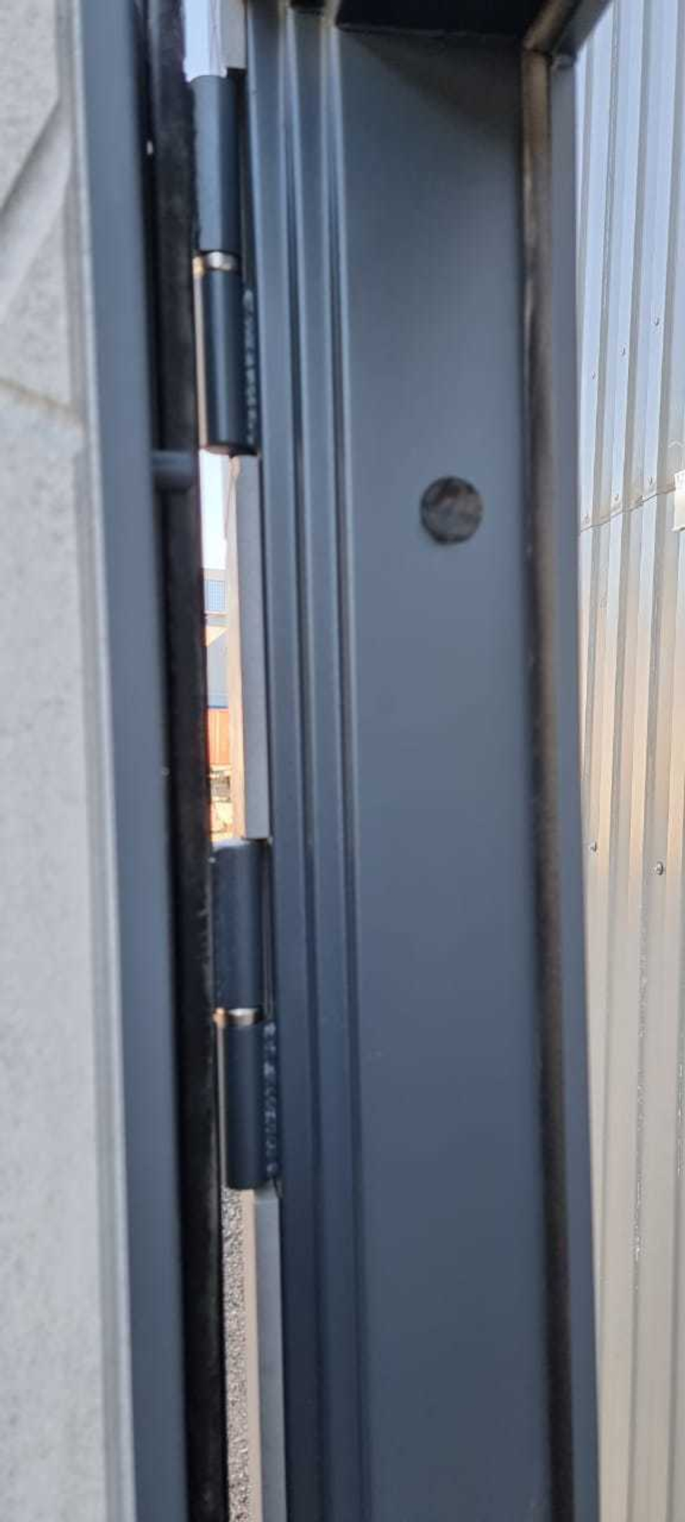 Входная металлическая дверь с зеркалом RеX (РЕКС) Дуэт Б Бетон темный / зеркало  Пастораль Силк сноу