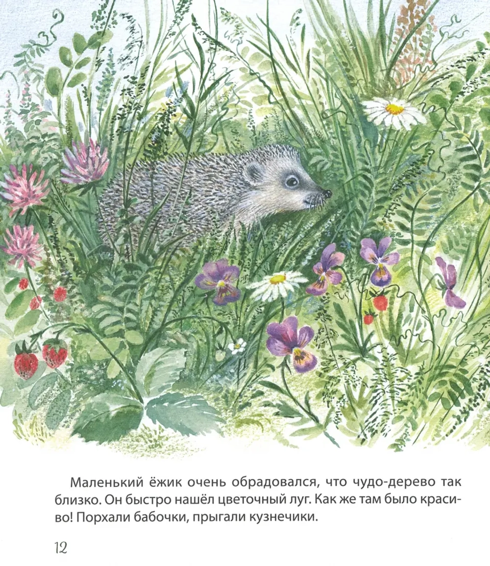 Самый маленький ежик