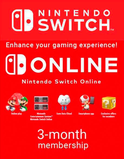 Nintendo eShop Store Poland: 3-месячная подписка Online Индивидуальная [Цифровой код доступа]
