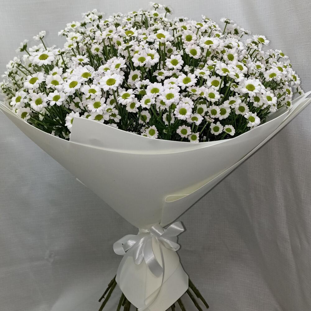 Ромашки-Милашки -XL