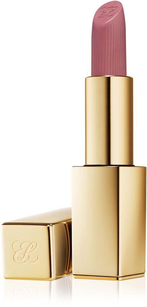 Estée Lauder Pure Color Lipstick Matte 816 Suit Up 3.5 g