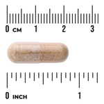 Swanson Vitamins, Надпочечники, 350 мг, 60 капсул