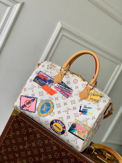 Louis Vuitton Speedy Soft 30
