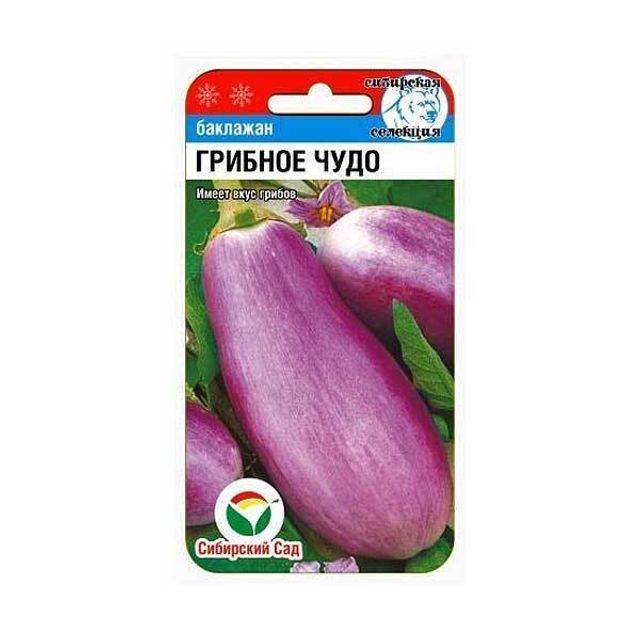 Баклажаны