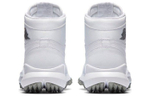 Кроссовки Jordan Air Jordan 1 Retro Golf Cleat White Metallic